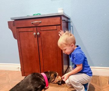 The Oaks Veterinary Clinic