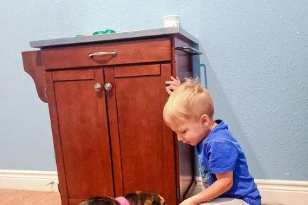 The Oaks Veterinary Clinic