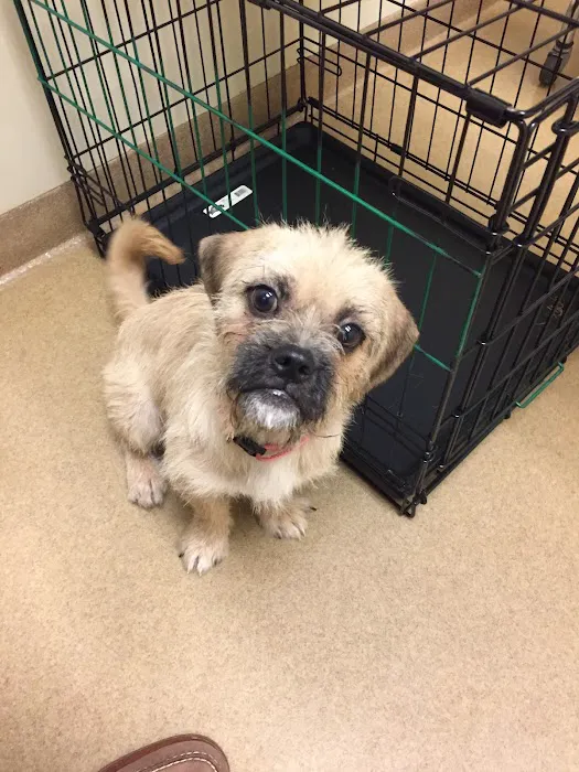 Pine Forest Animal Clinic 12