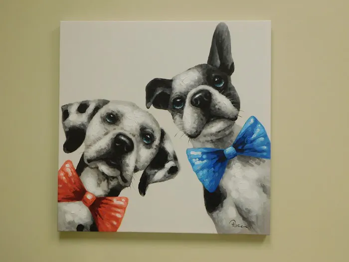 Pine Forest Animal Clinic 12