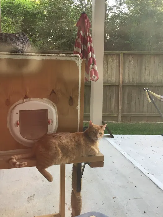 Pine Forest Animal Clinic 12