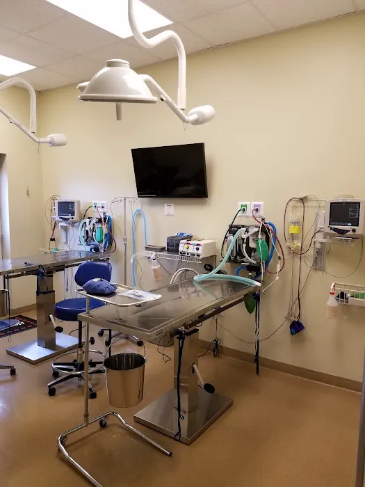 Pine Forest Animal Clinic 12