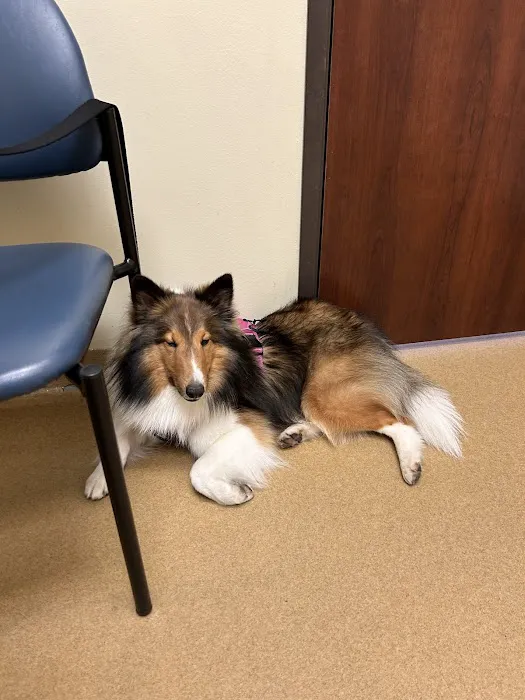 Pine Forest Animal Clinic 12