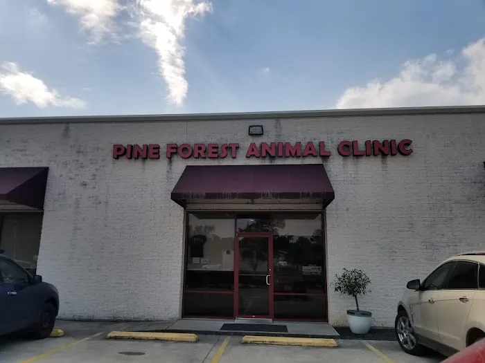 Pine Forest Animal Clinic 12