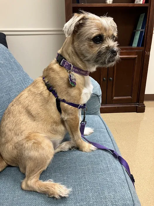 Animal Hospital of the Woodlands 12