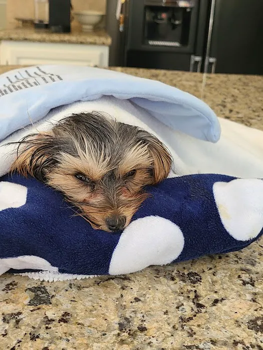 Bear Branch Animal Hospital 12