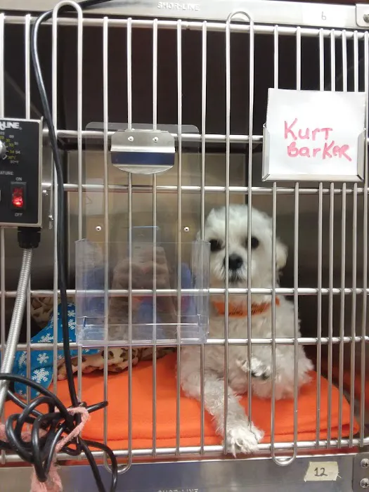 Banfield Pet Hospital 12