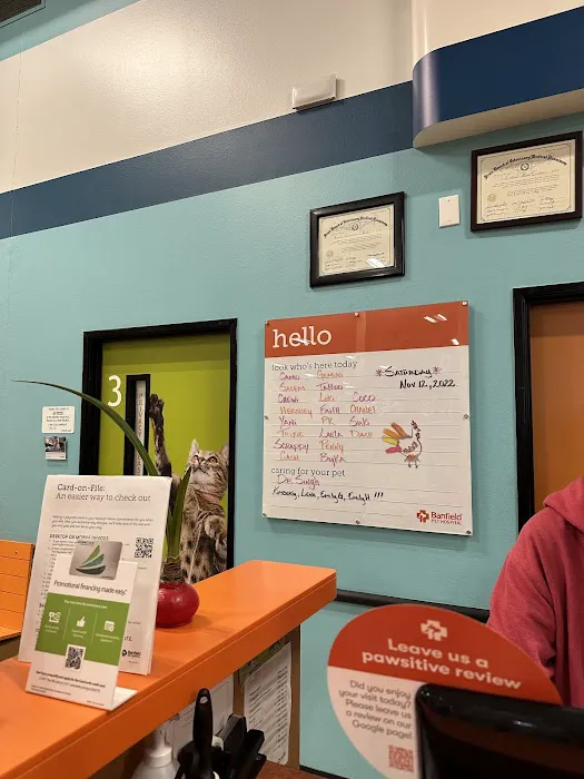 Banfield Pet Hospital 12