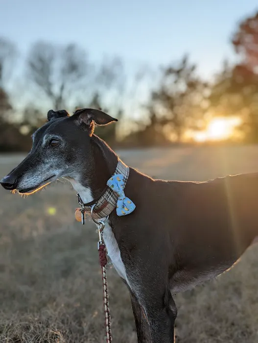 Animal Clinics of The Woodlands 4
