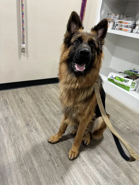 Rosehill Veterinary Clinic 12