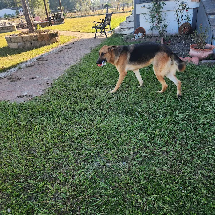 Lone Star Animal Hospital 12