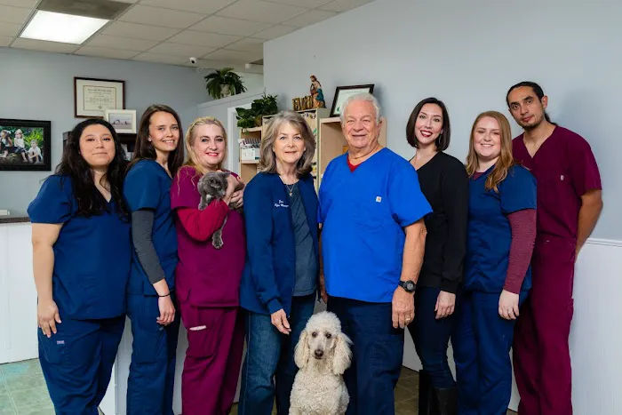 The Pet Wellness Clinic 12