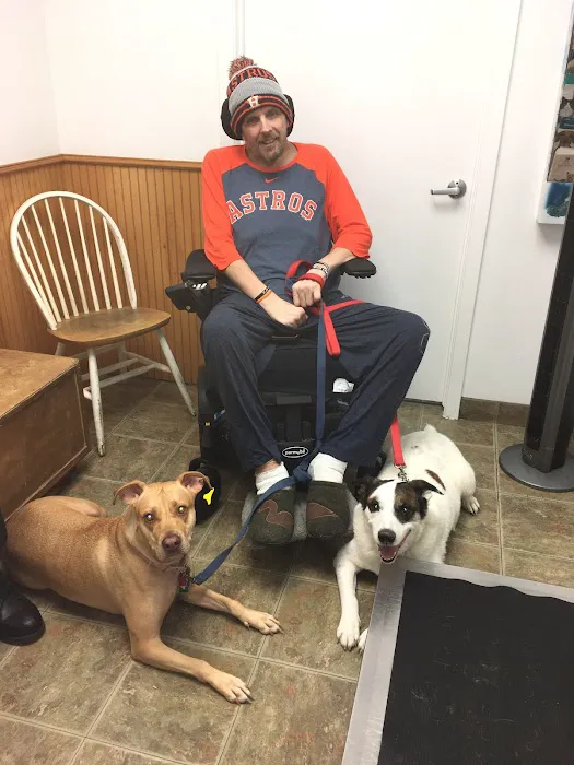 The Pet Wellness Clinic 12