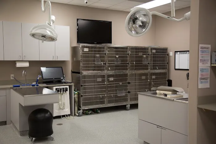 Forest Crossing Animal Hospital 12
