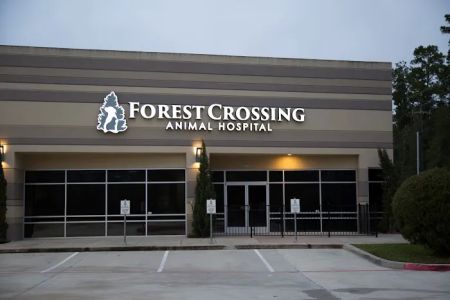 Forest Crossing Animal Hospital