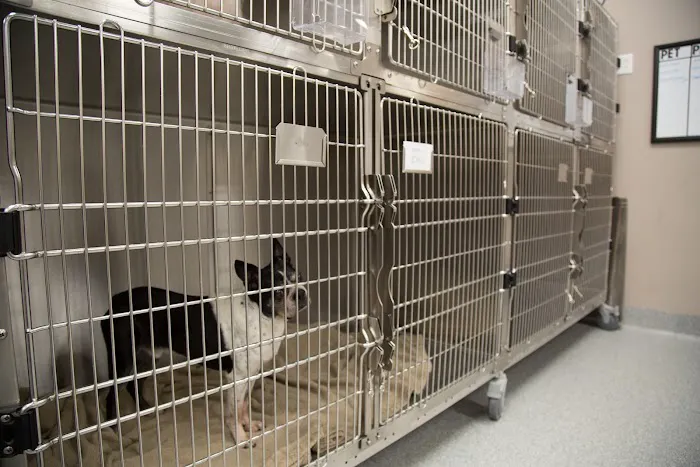Forest Crossing Animal Hospital 12