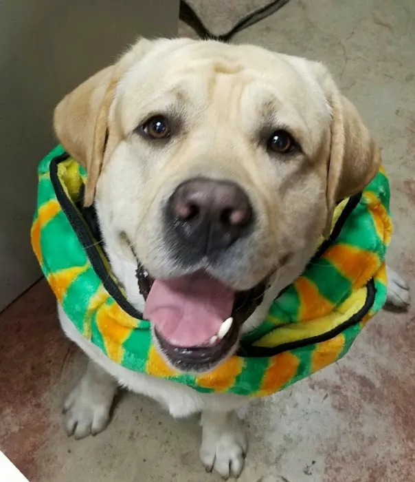 Kainer Veterinary Hospital 12