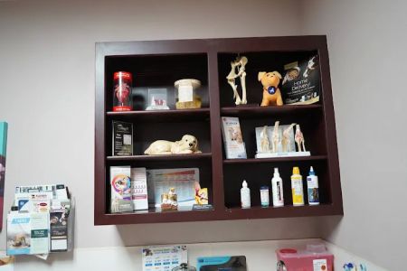 Kainer Veterinary Hospital