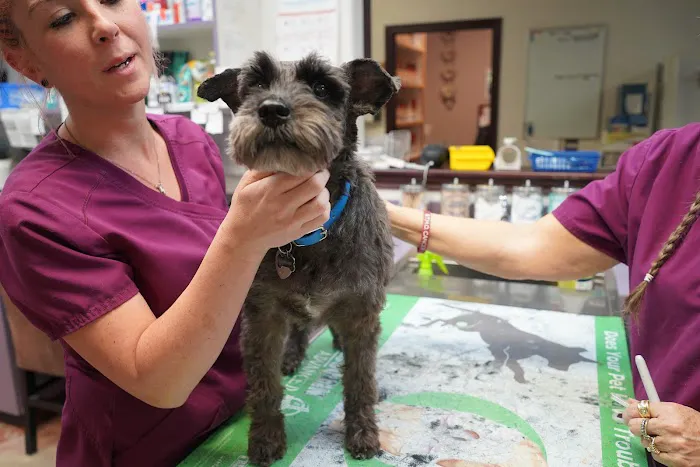 Kainer Veterinary Hospital 12