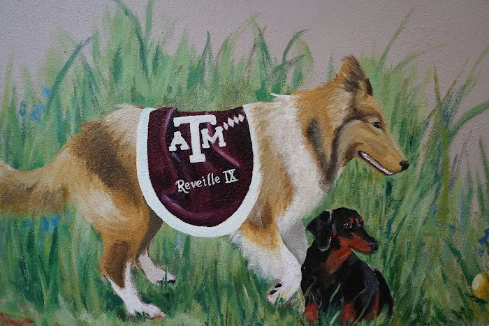 Kainer Veterinary Hospital 12