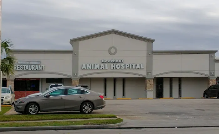 Beechnut Animal Hospital 12