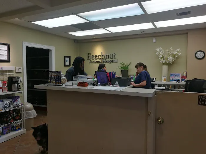 Beechnut Animal Hospital 12