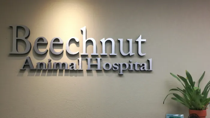 Beechnut Animal Hospital 12