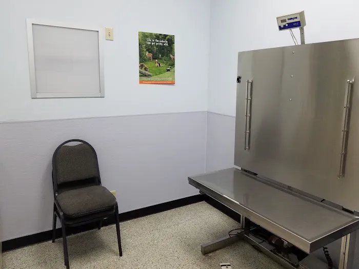 Beechcrest Animal Clinic 12