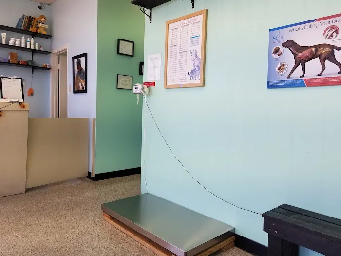 Beechcrest Animal Clinic 12