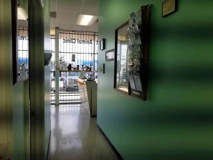 Beechcrest Animal Clinic 12
