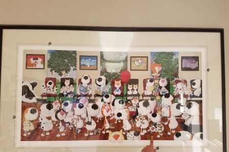 Cambridge Post Oak Animal Clinic