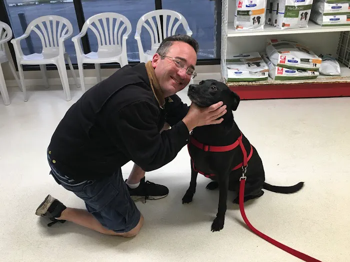 Cambridge Post Oak Animal Clinic 12