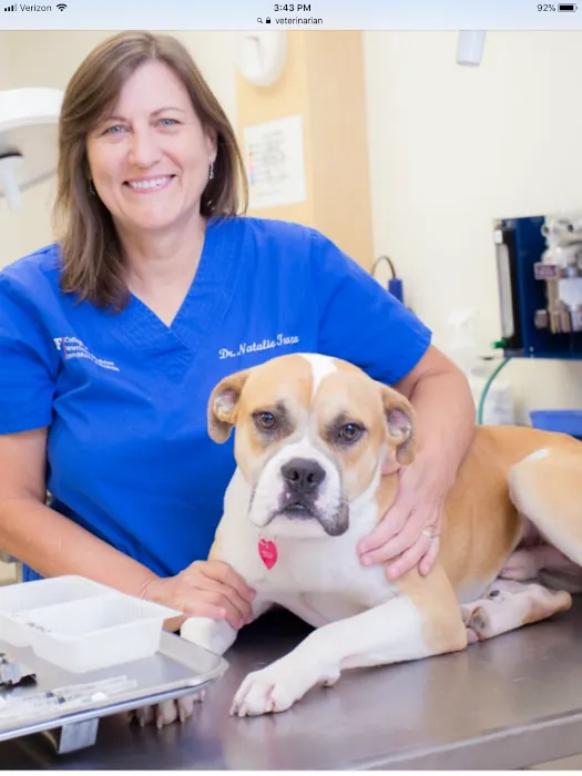 Cambridge Post Oak Animal Clinic 12