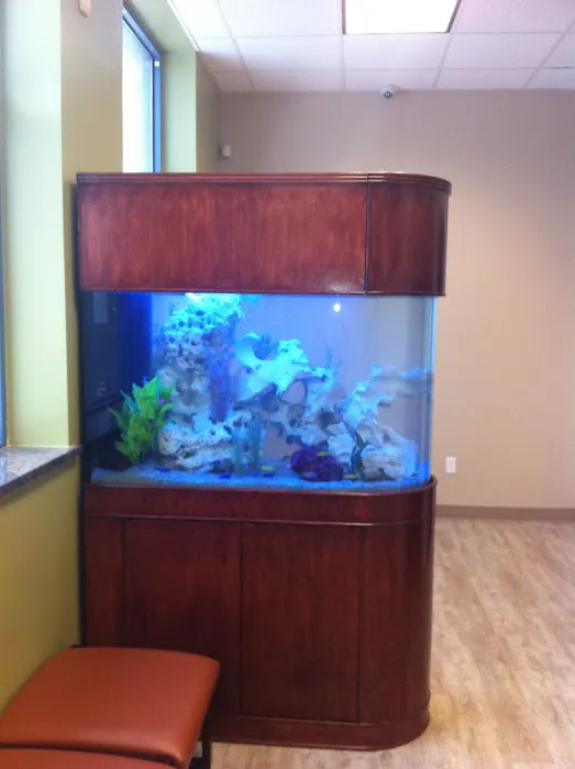 Green Forest Veterinary Hospital of Glen Cove 5