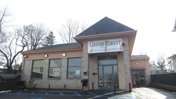 Green Forest Veterinary Hospital of Glen Cove 2