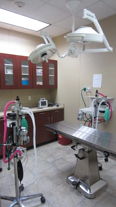 Green Forest Veterinary Hospital of Glen Cove 4