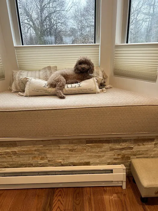 Green Forest Veterinary Hospital of Glen Cove 9