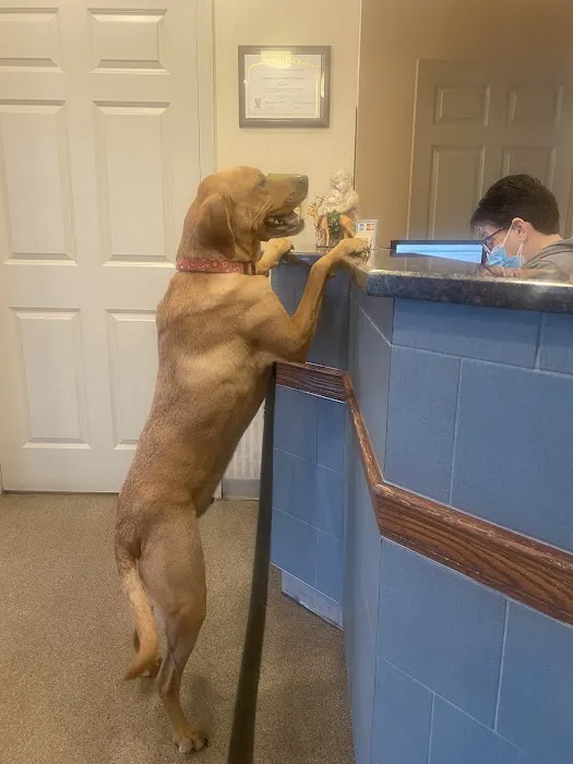University Animal Hospital 6