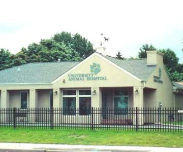 University Animal Hospital