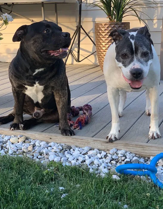 Long Island Animal Hospital 3
