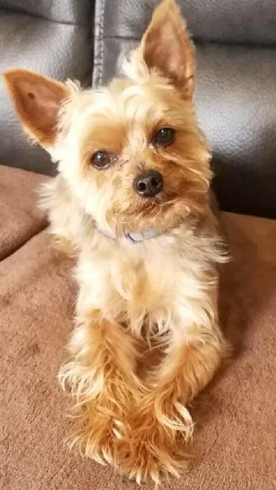 Long Island Animal Hospital 7
