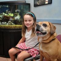 Baldwin Animal Hospital ico
