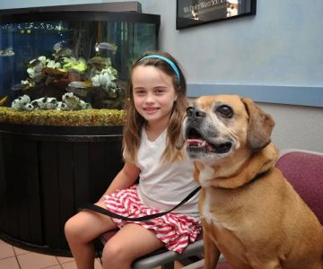 Baldwin Animal Hospital