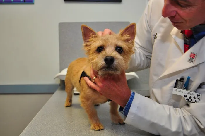 Baldwin Animal Hospital 4