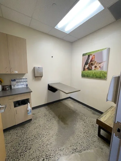 Vetco Total Care Animal Hospital 7
