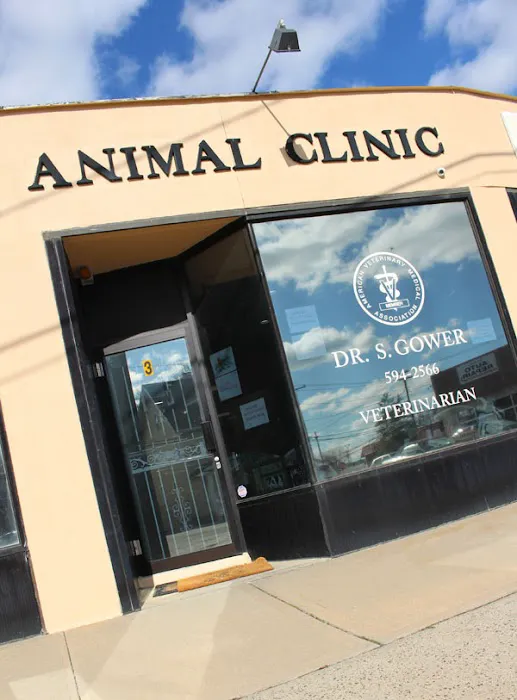 Woods Avenue Animal Clinic 2