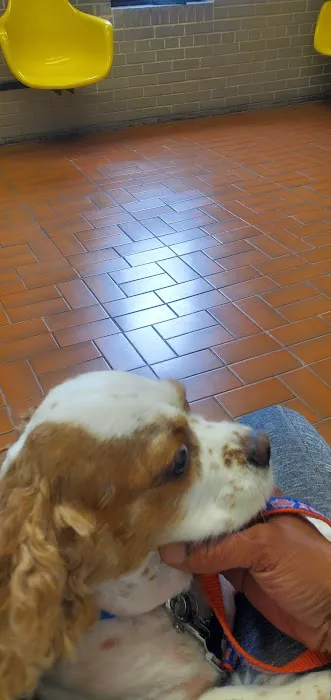 Oceanside Veterinary Hospital 1