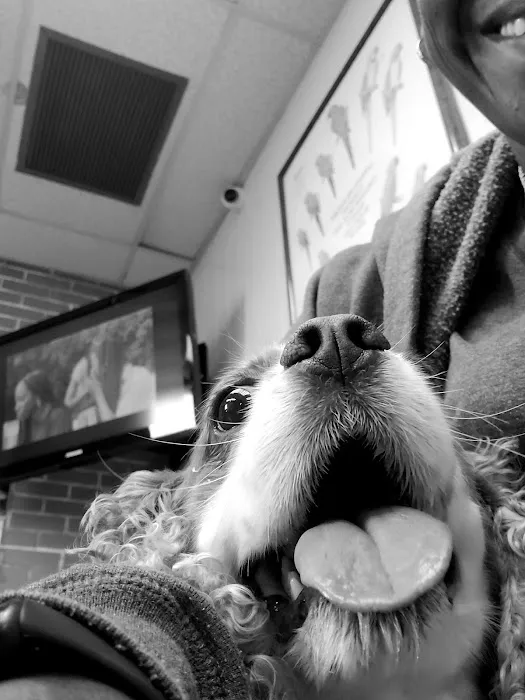 Oceanside Veterinary Hospital 2