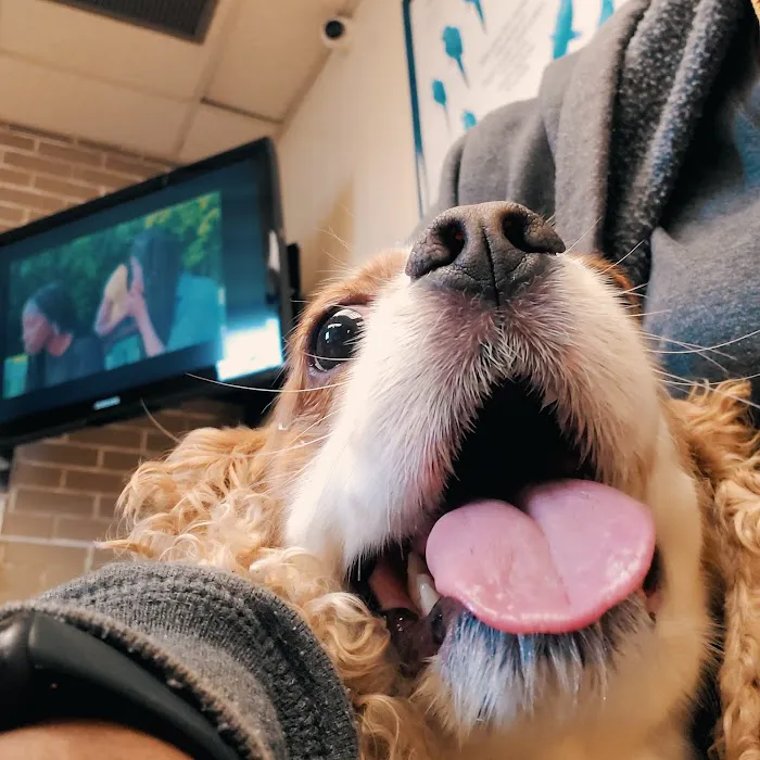 Oceanside Veterinary Hospital 7