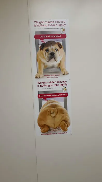 Oceanside Veterinary Hospital 8